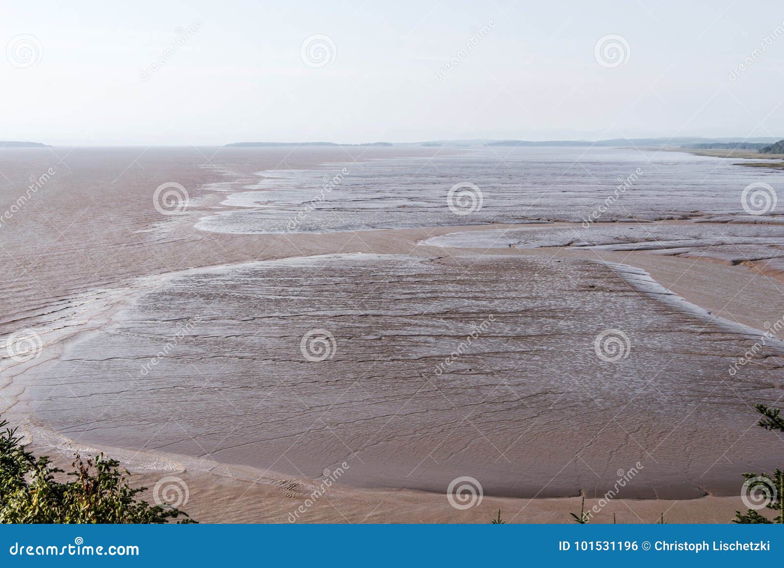 Playa De La Marea Baja En La Bahía De Fundy Nuevo Brunswick - El