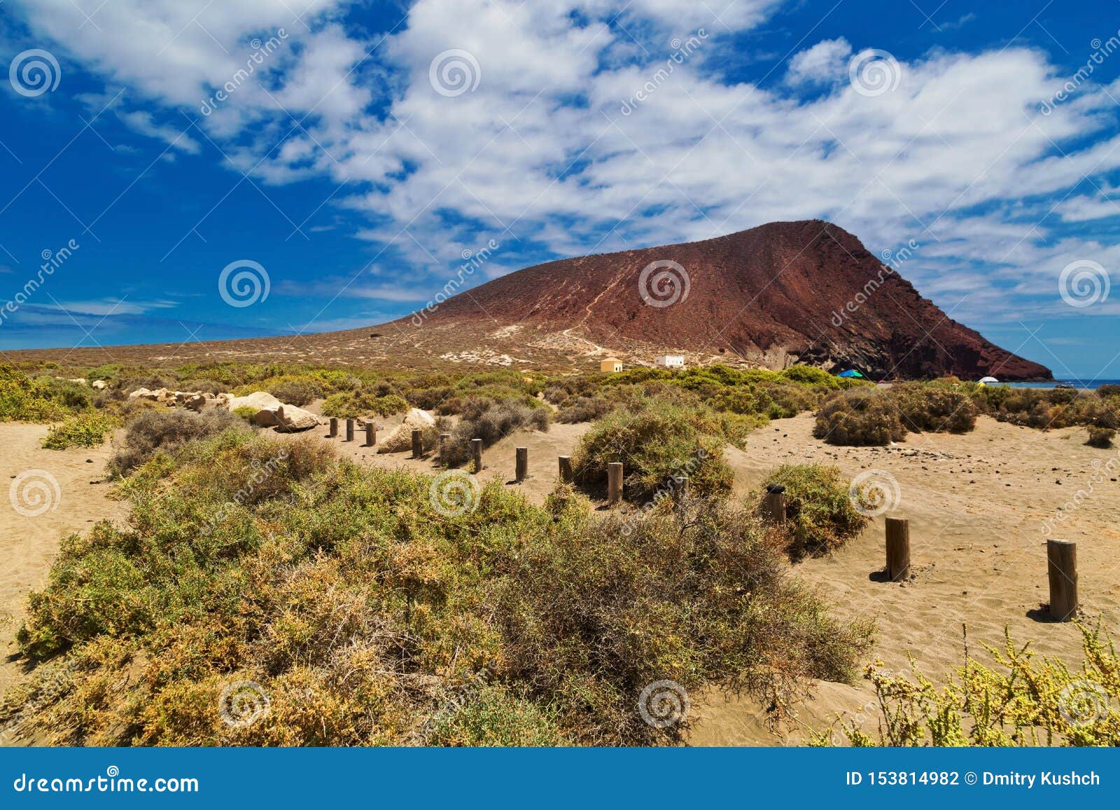 playa de la tejita. tenerife, spain