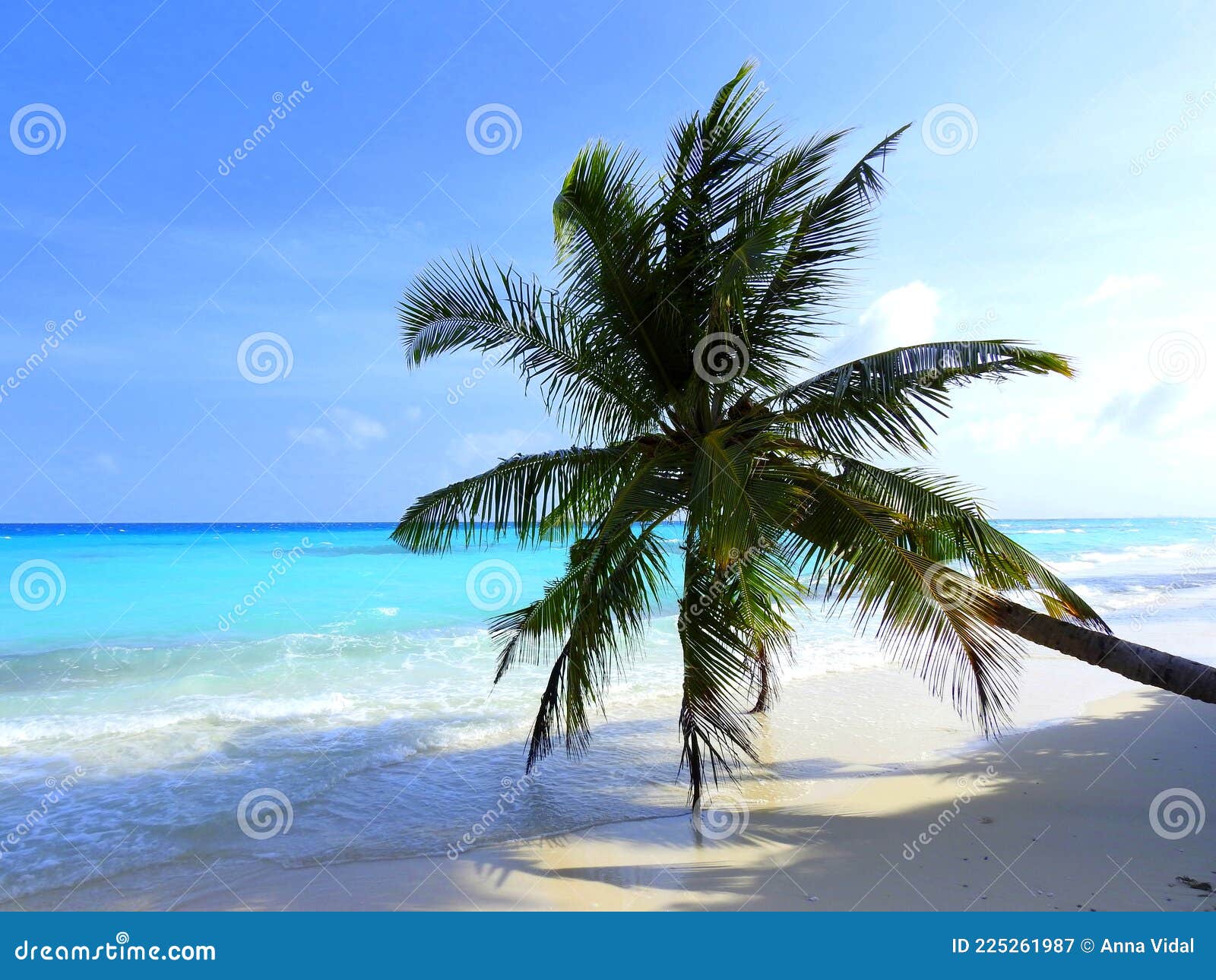 playa tropical. isla de dhigurah. maldivas.
