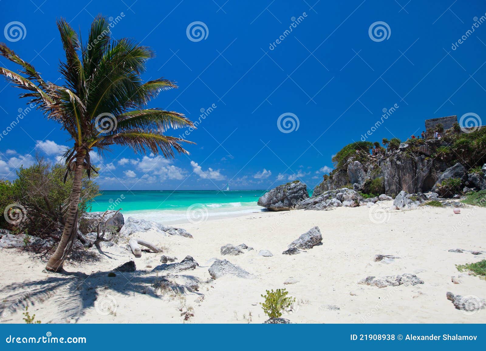 Playa caribeña foto de archivo. Imagen de hermoso, orilla - 21908938, image size:1600x1157