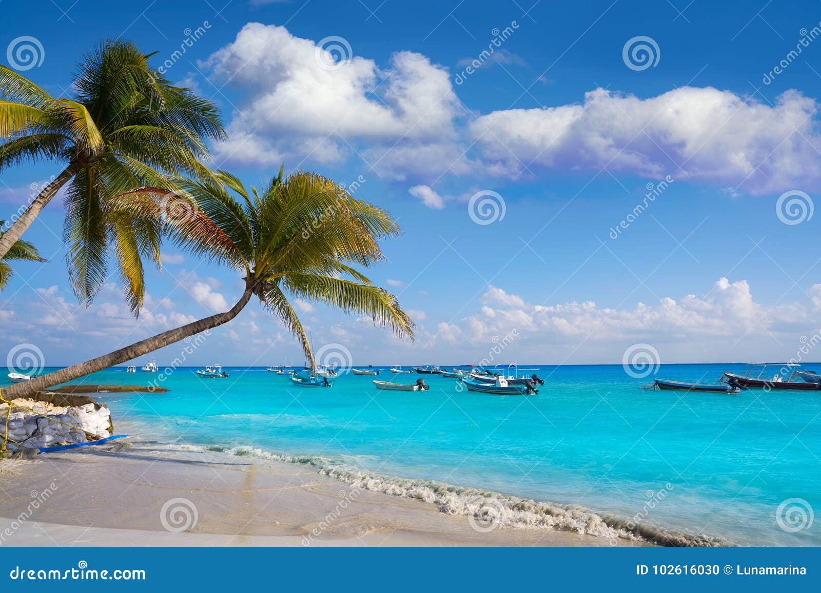 playa del carmen beach palm trees mexico