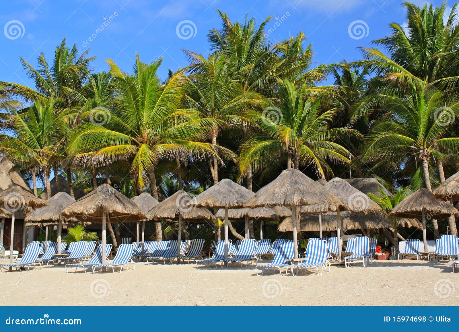 playa del carmen beach resort