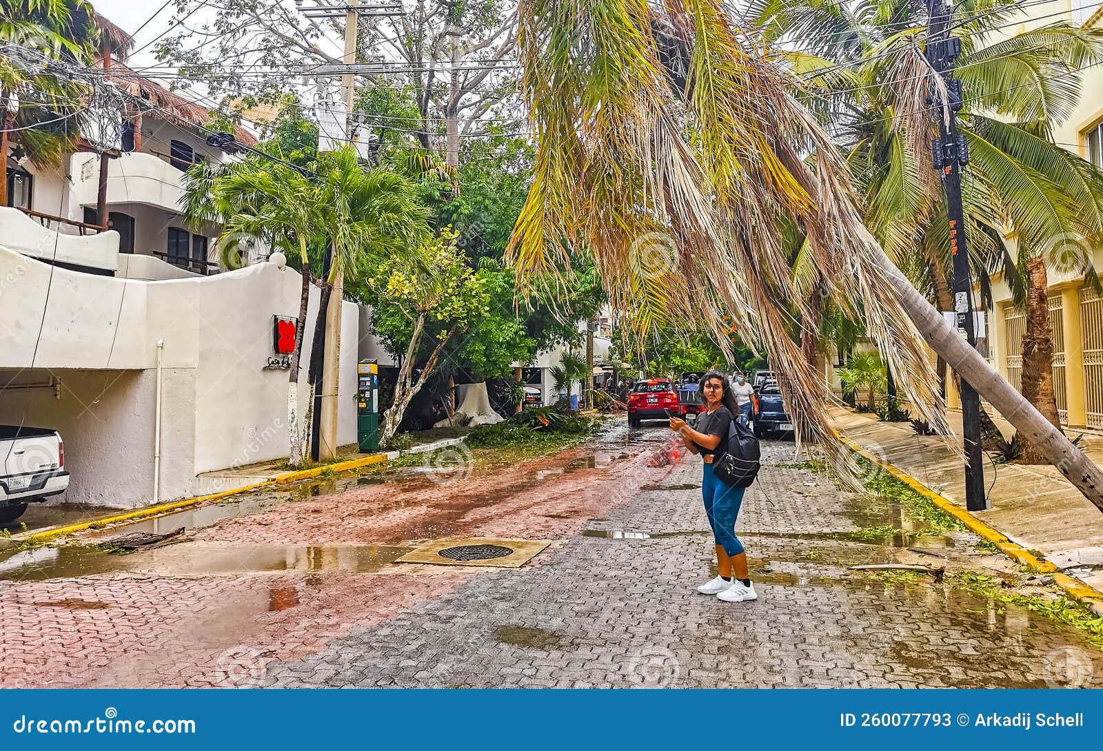 Hurricane 2021 Playa Del Carmen Mexico Destruction Devastation Broken