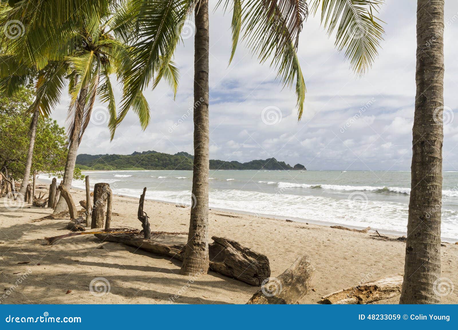 playa garza palm and driftwood fence