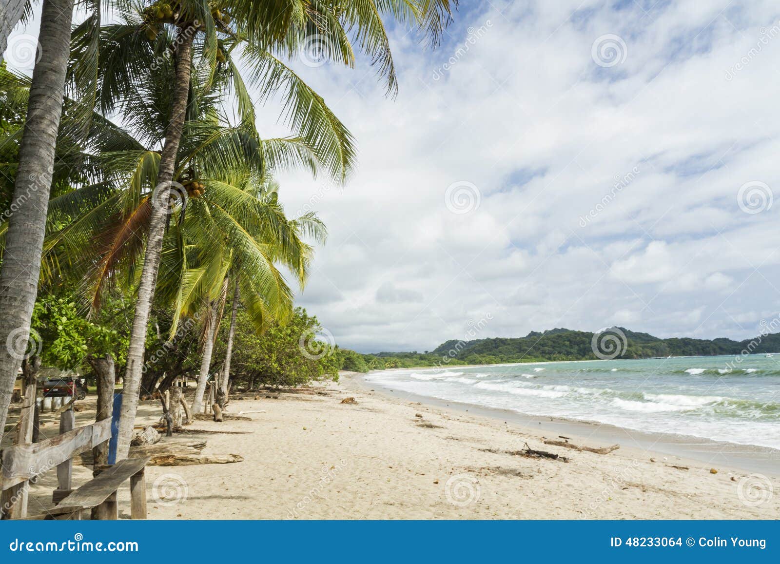 playa garza palm trees