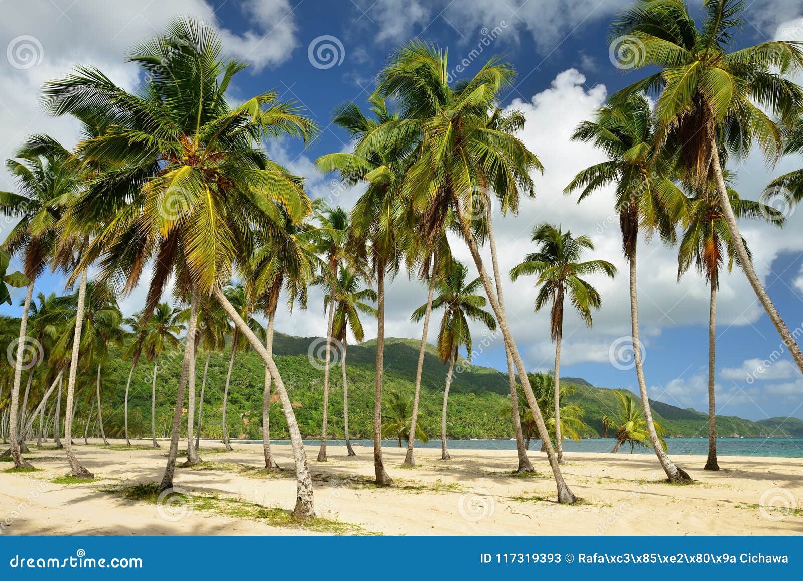 playa rincon beach on dominican republic