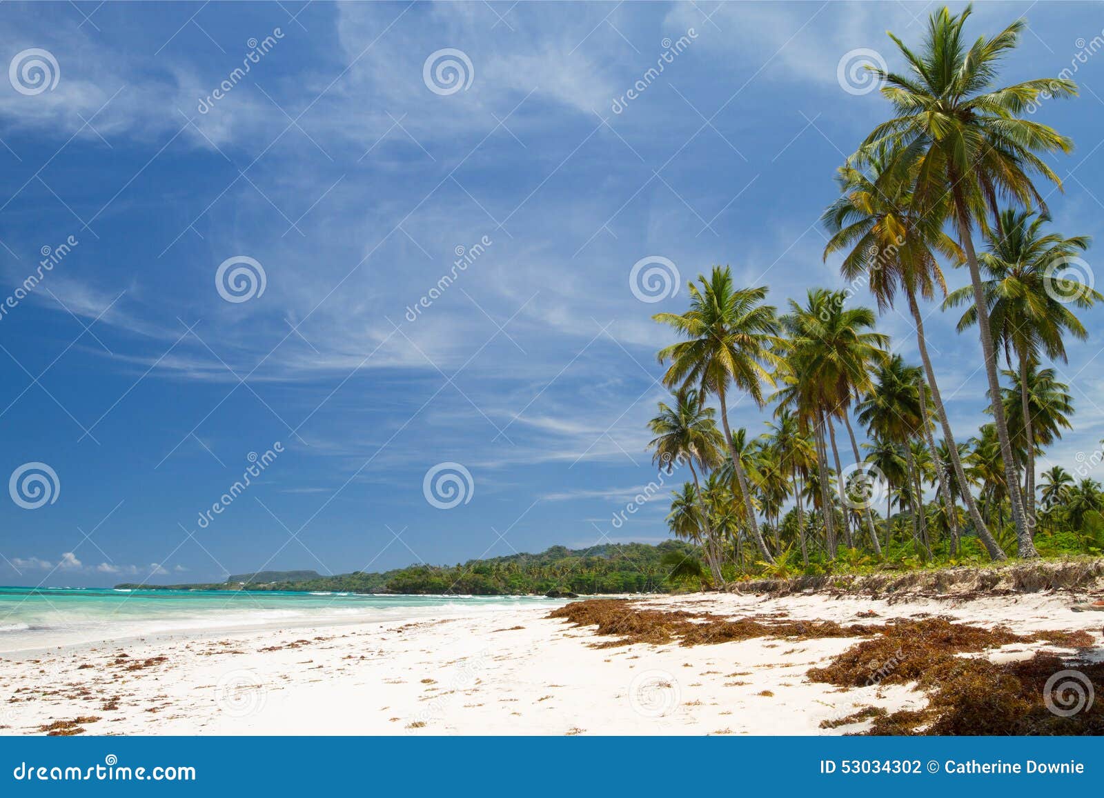 playa rincon, the dominican republic