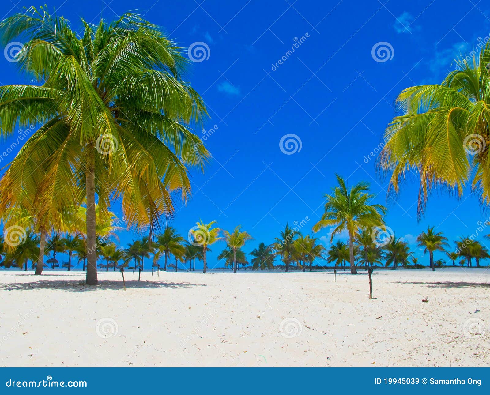 playa sirena (beach), cayo largo, cuba