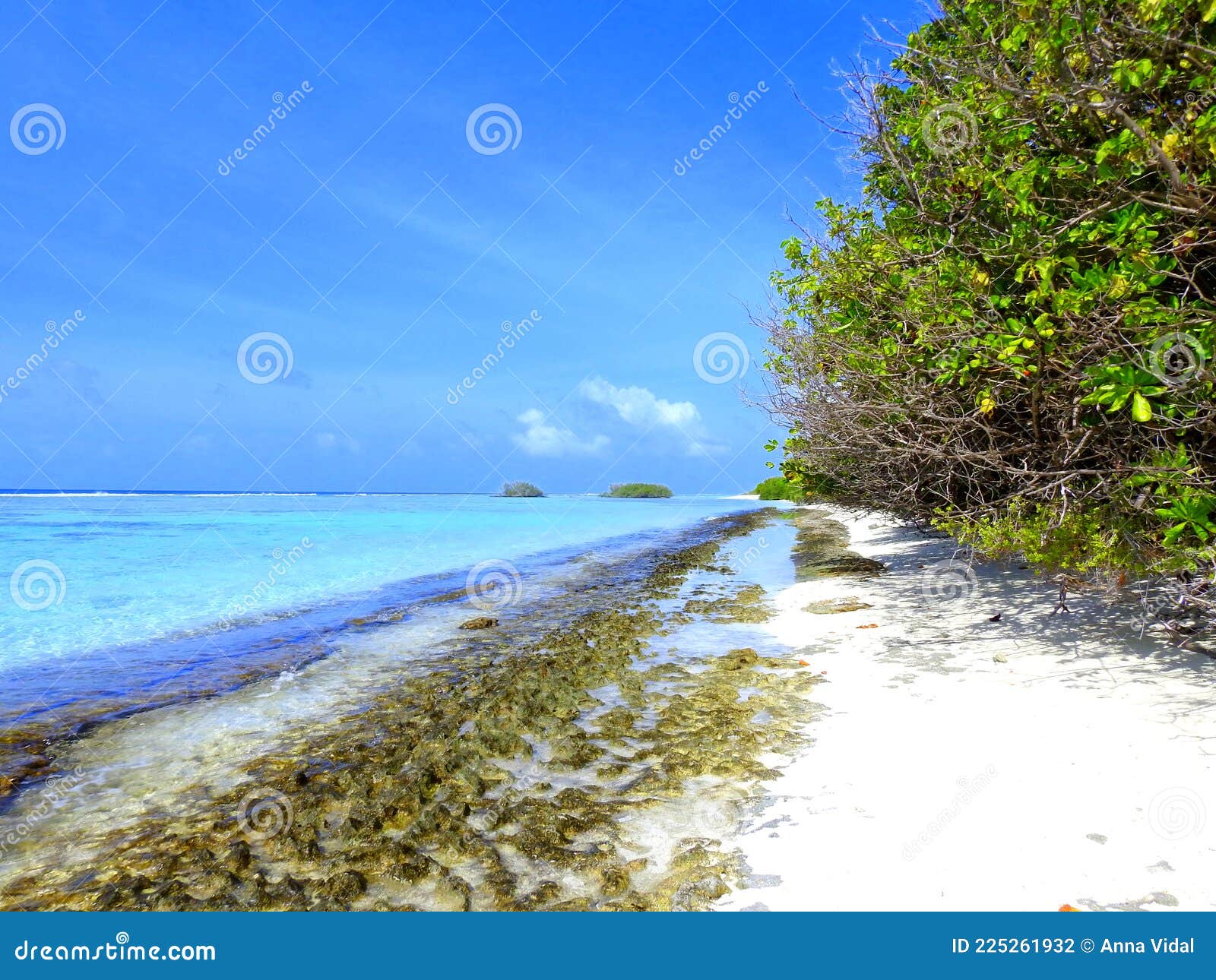 naturaleza salvaje playa isla de dhigurah. maldivas.