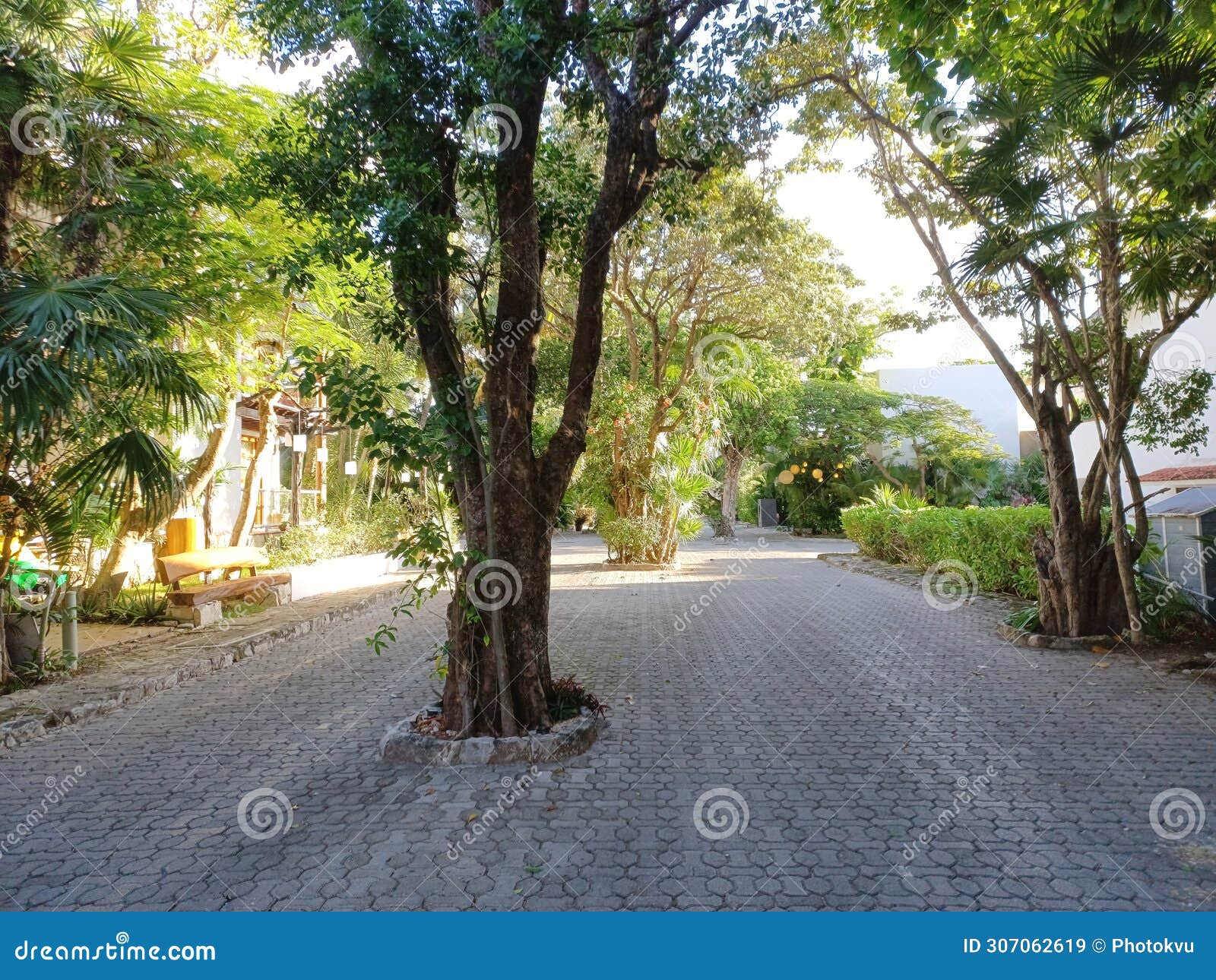 playacar street view in the daytime