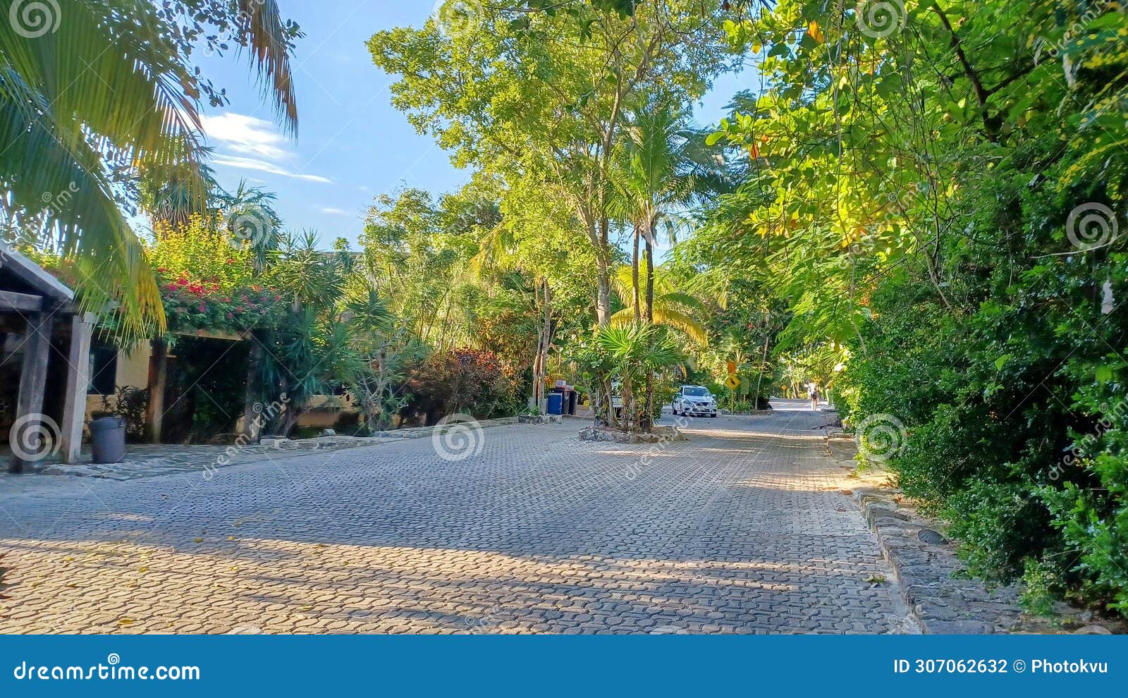 playacar street view in the daytime