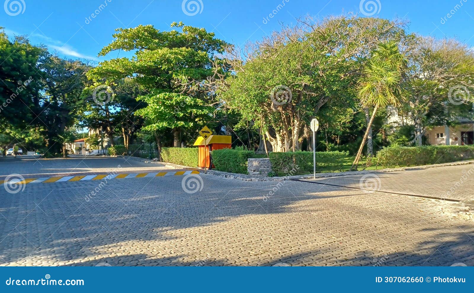 playacar street view in the daytime