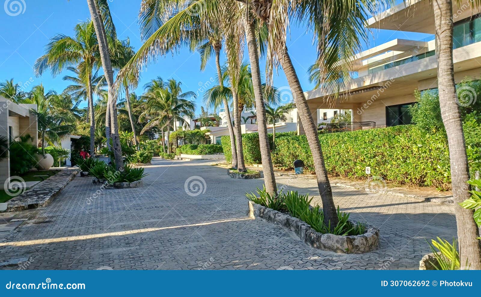 playacar street view in the daytime