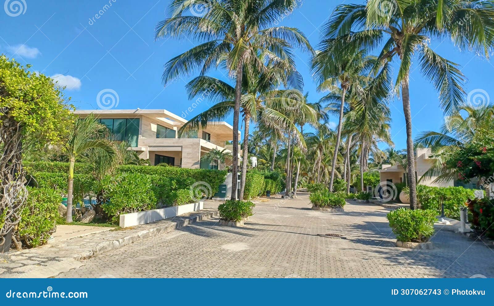 playacar street view in the daytime