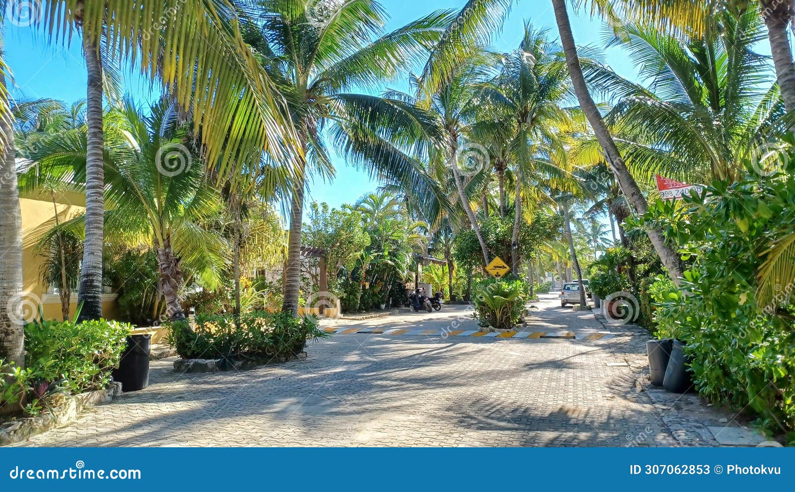 playacar street view in the daytime