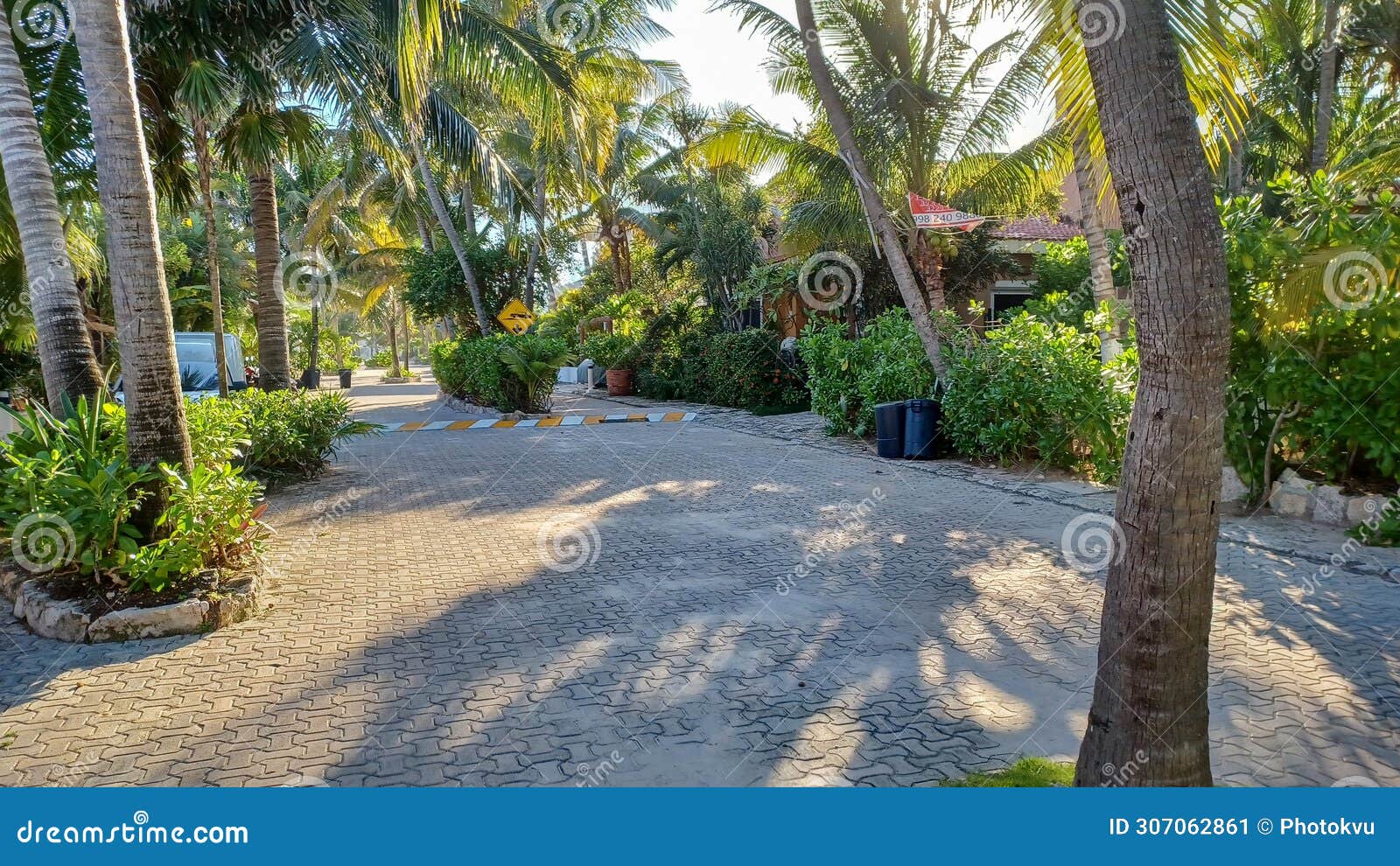 playacar street view in the daytime