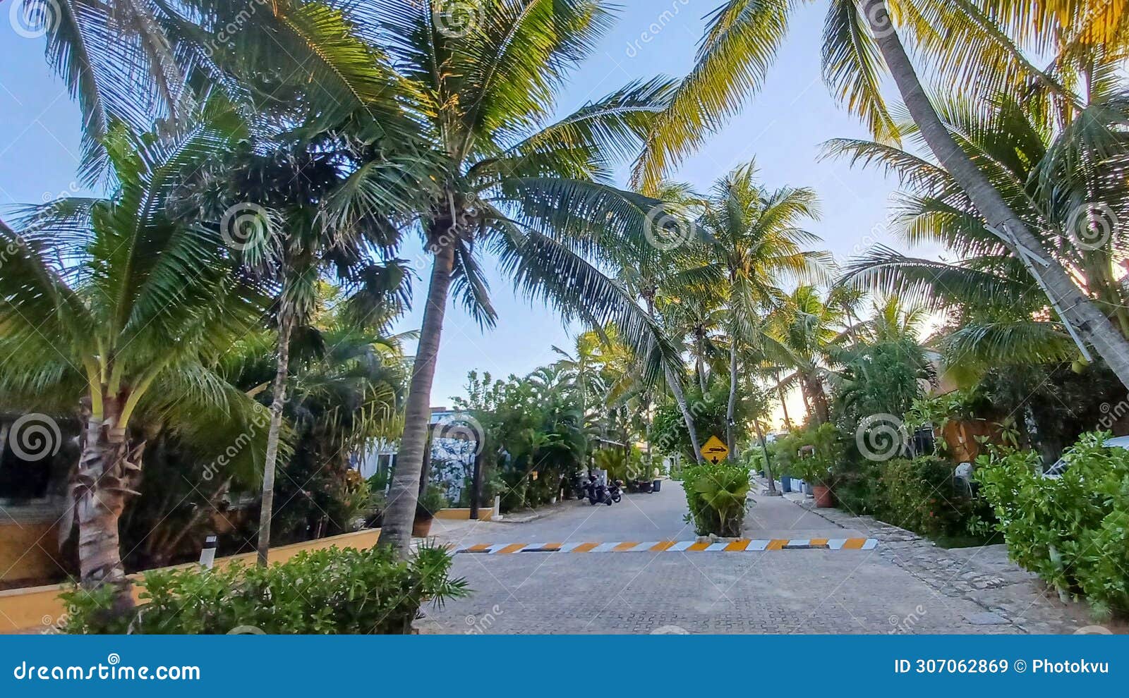 playacar street view in the daytime