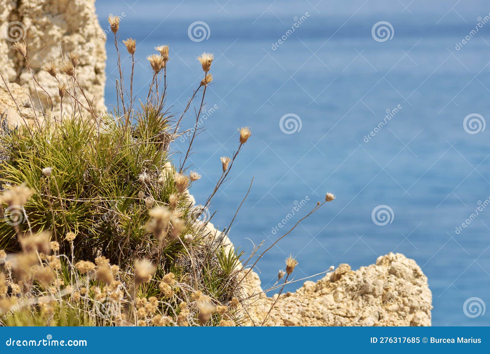 Playas De La Isla De Lefkada 6 Imagen de archivo - Imagen de grecia ...