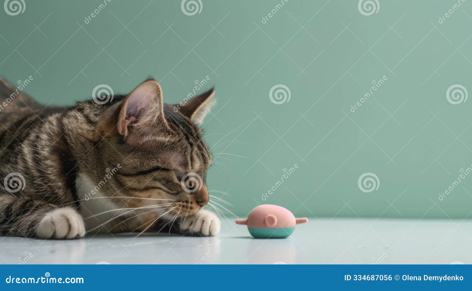 a playful cat curiously examines a mint toy resembling a mouse, showcasing its inquisitive nature against a soft green