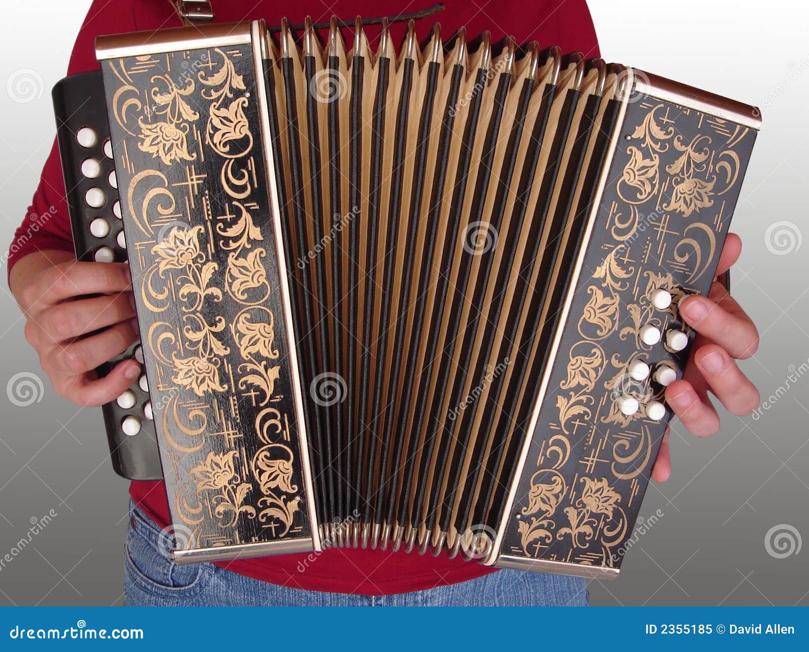 Playing the accordion stock image. Image of buttons, playing - 2355185