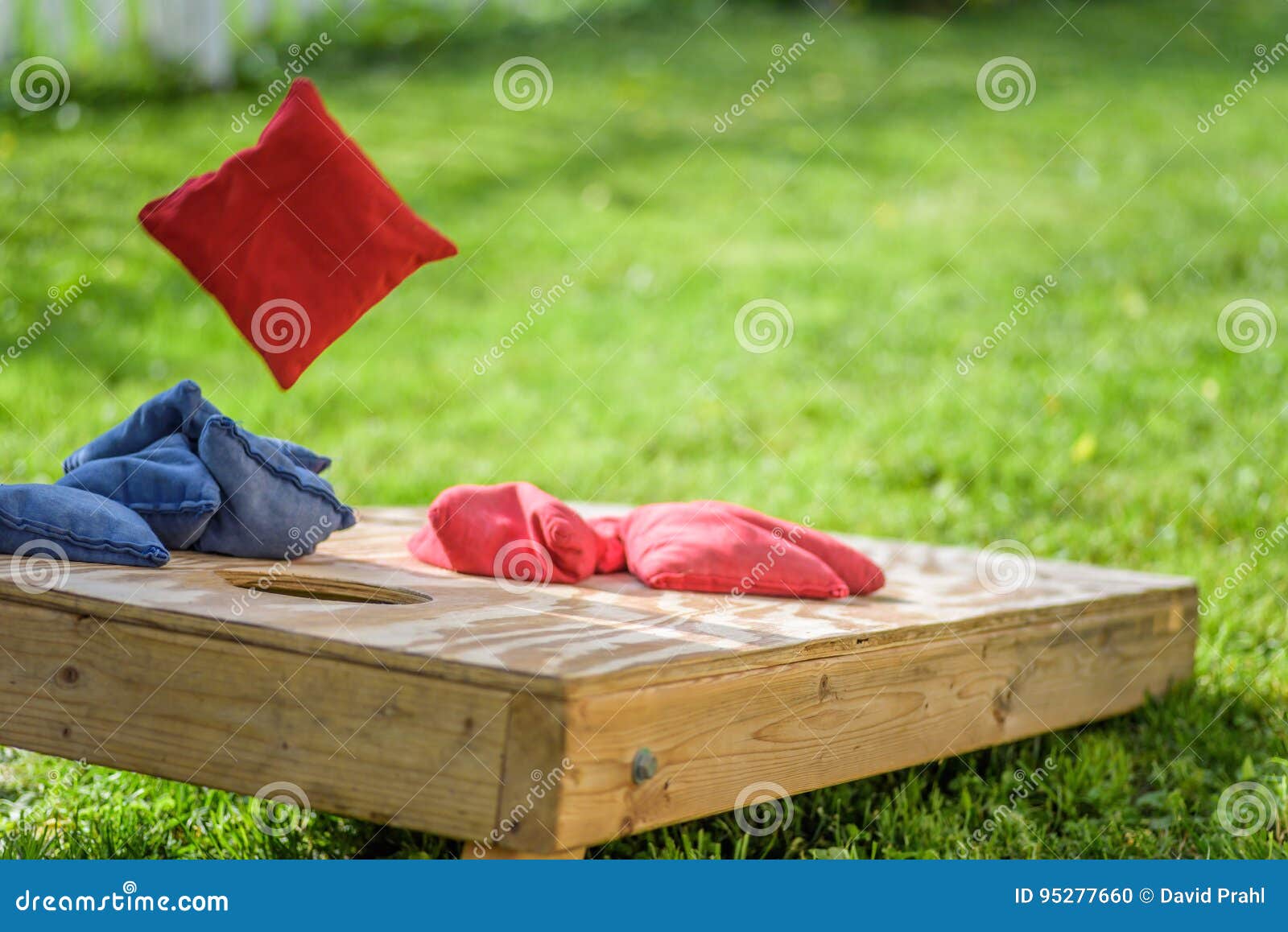 playing bags in the backyard in summer