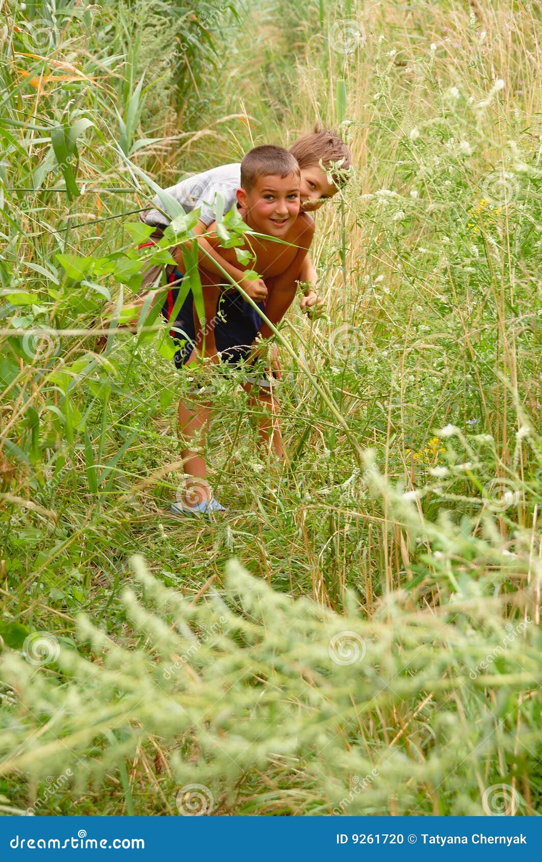 Playing boys in long grass stock photo. Image of happy 9261720