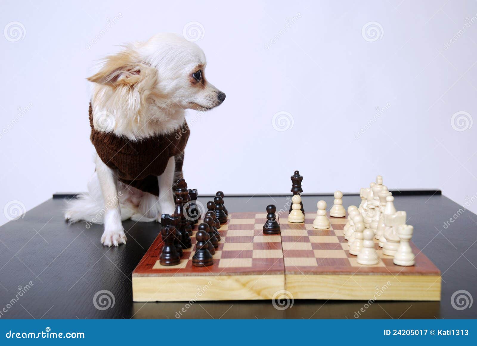 Merge Fun & Sophistication- Dogs Playing Chess Live Wallpaper - free  download