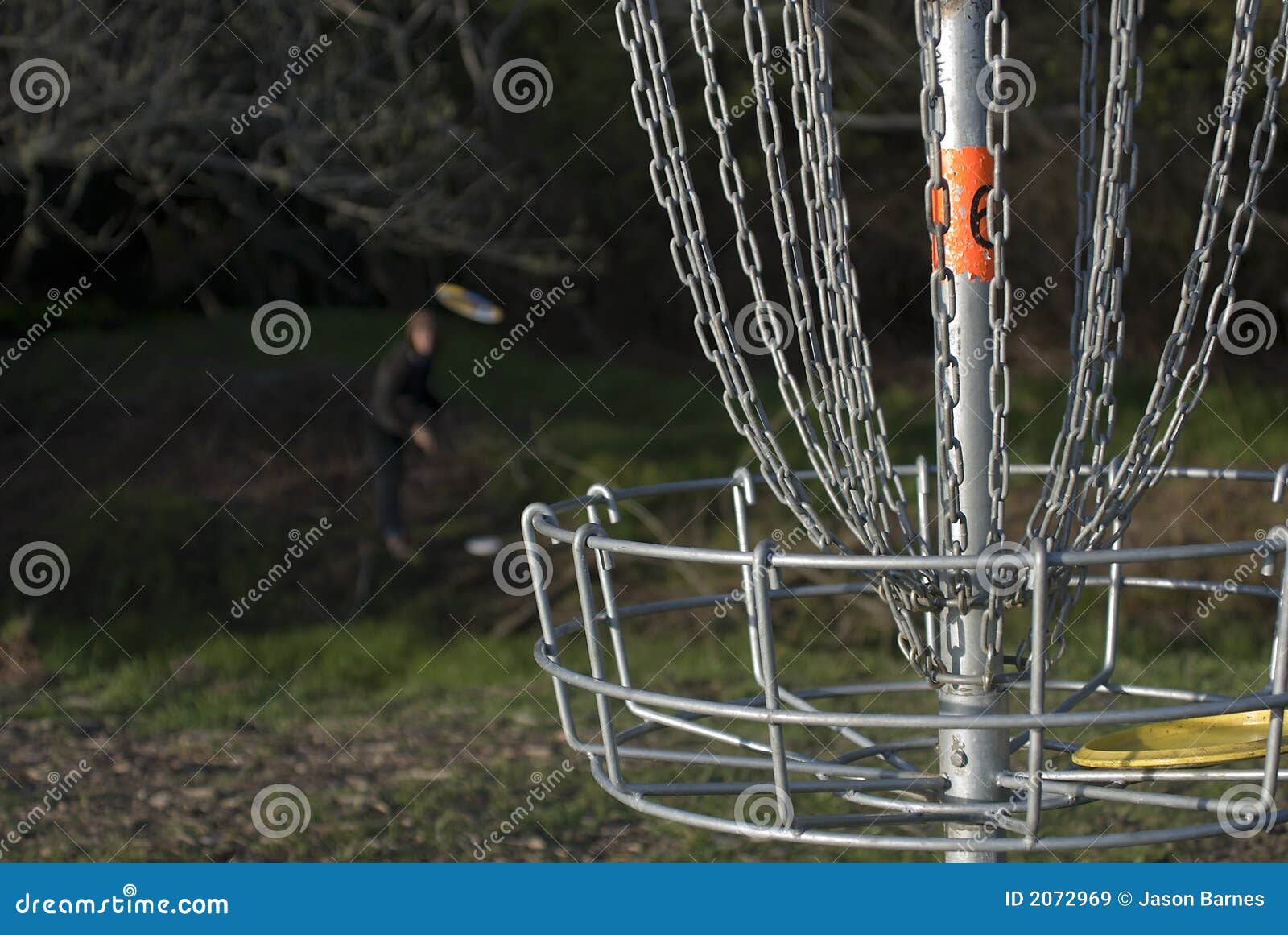 playing disc golf 2