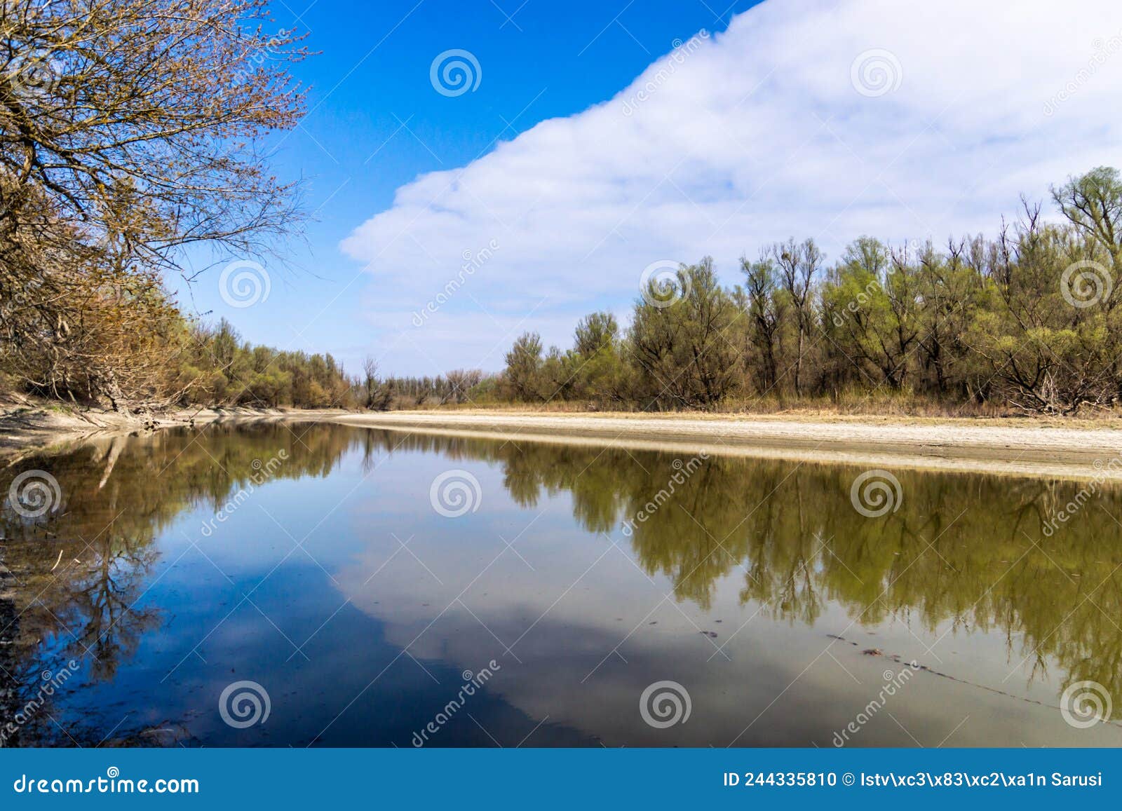 Gemenc Forest Photos Free Royalty Free Stock Photos From Dreamstime