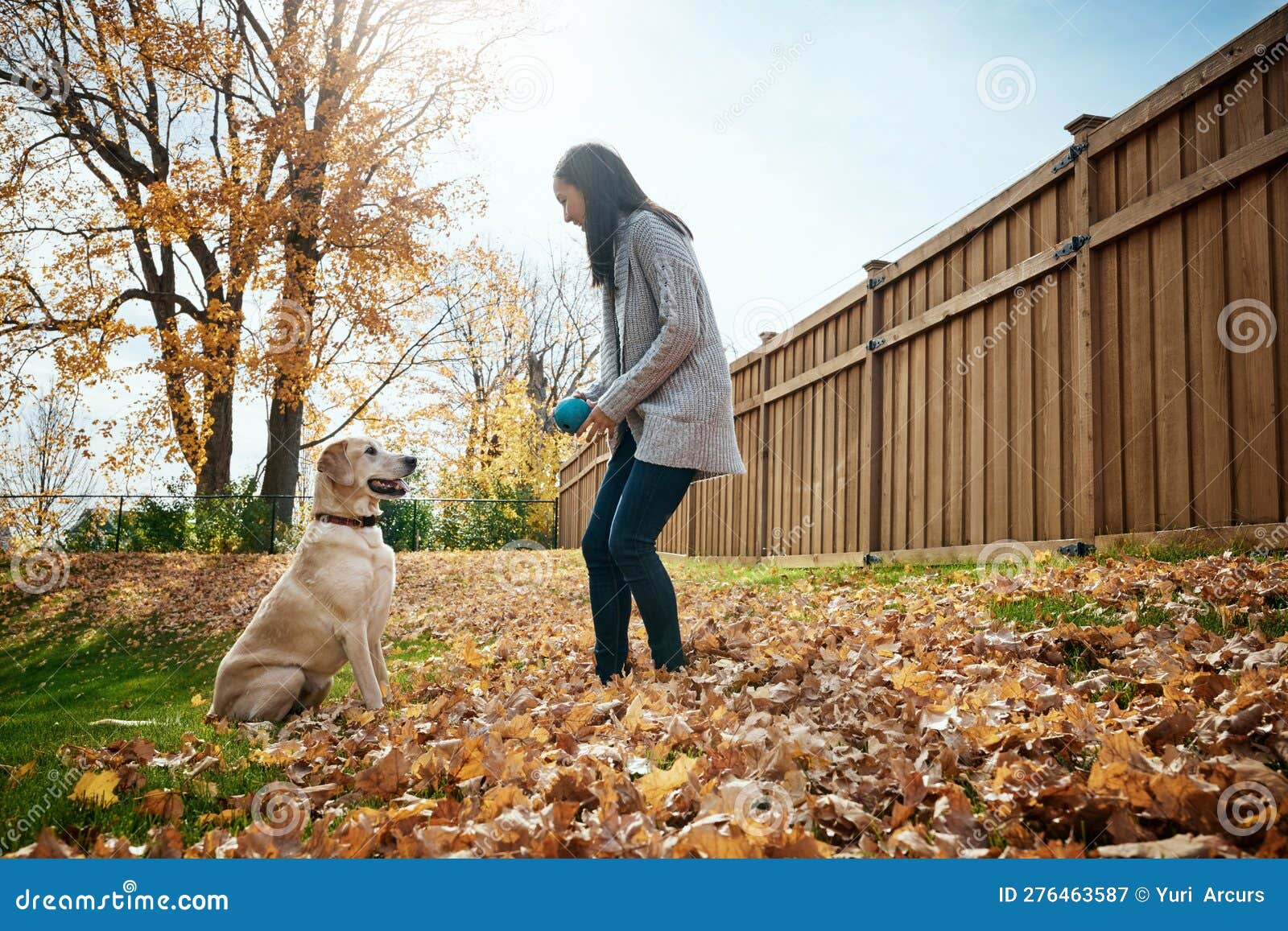 My Dog And Me Park