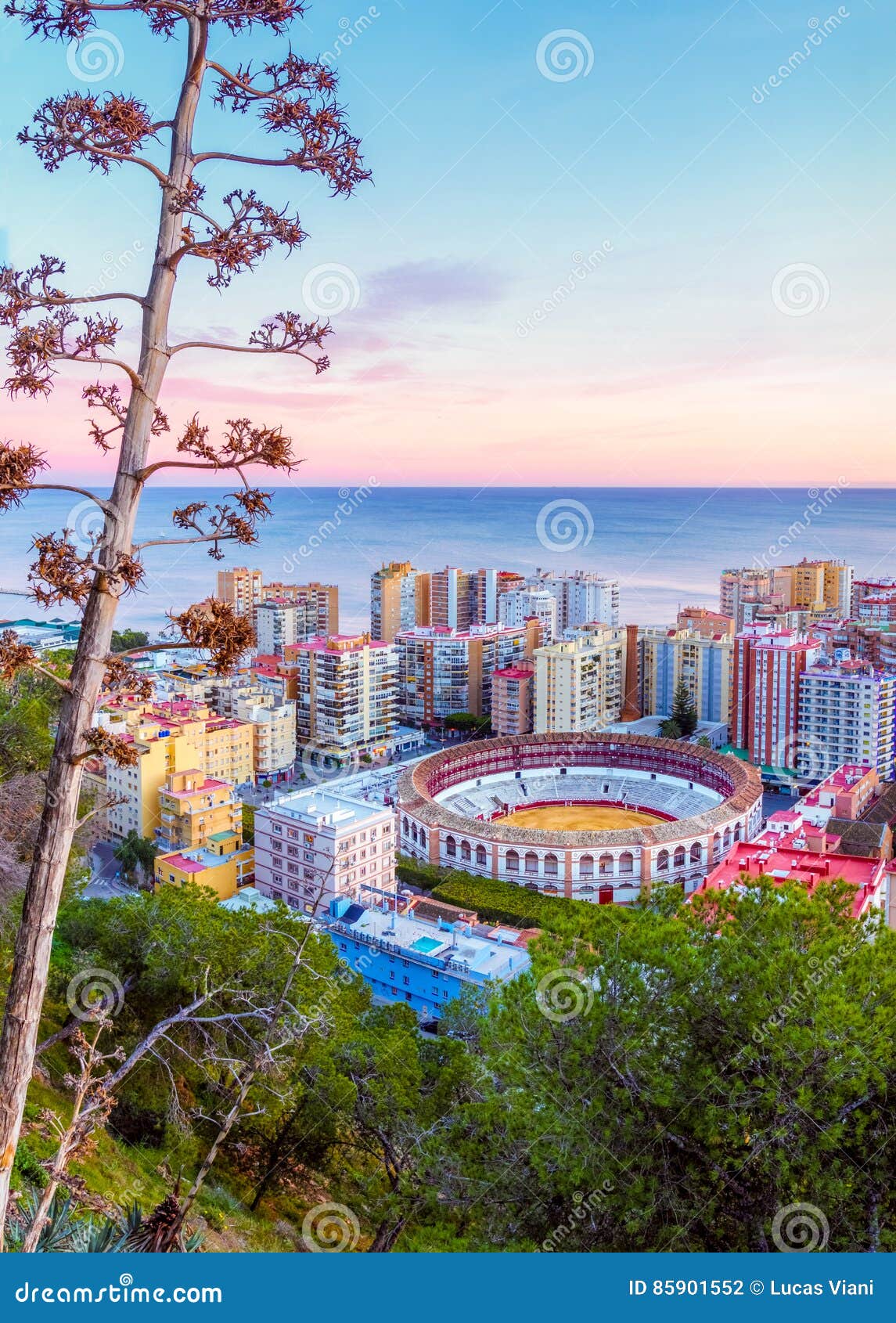 Plaza de Toros di Malaga. Malaga, Spagna, è una della maggior parte delle città di dinamica in Europa del sud È una città moderna con i musei, i ristoranti, lo spettacolo e le spiagge