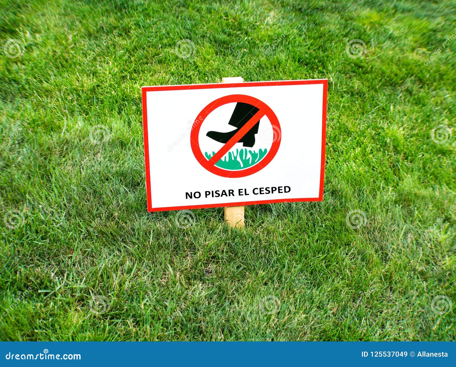 please keep off the lawn sign in spanish language. no pisar el cesped.