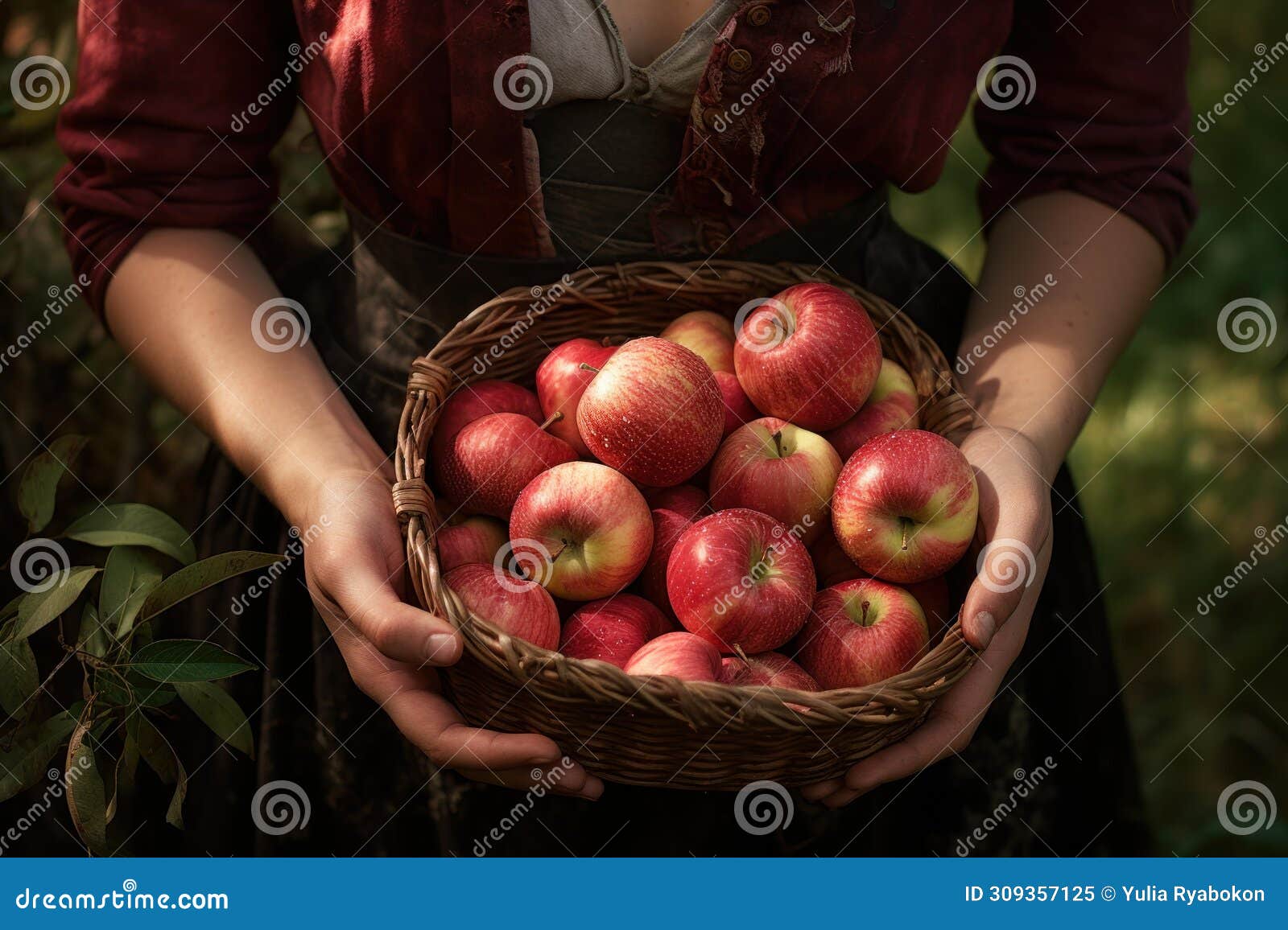 plentiful red apples basket. generate ai