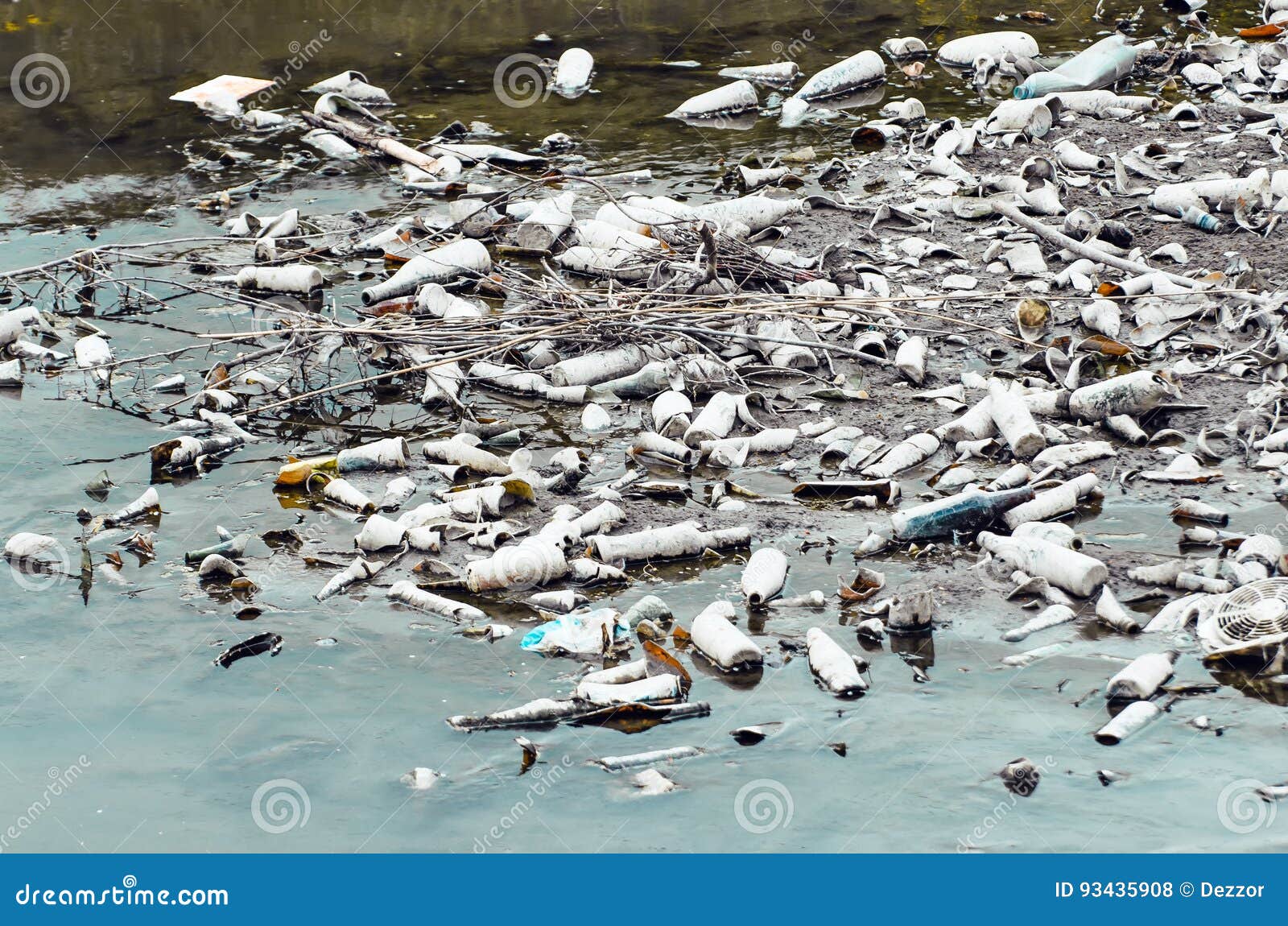 Plenty of Plastic and Glass Bottles on the Bottom of the River