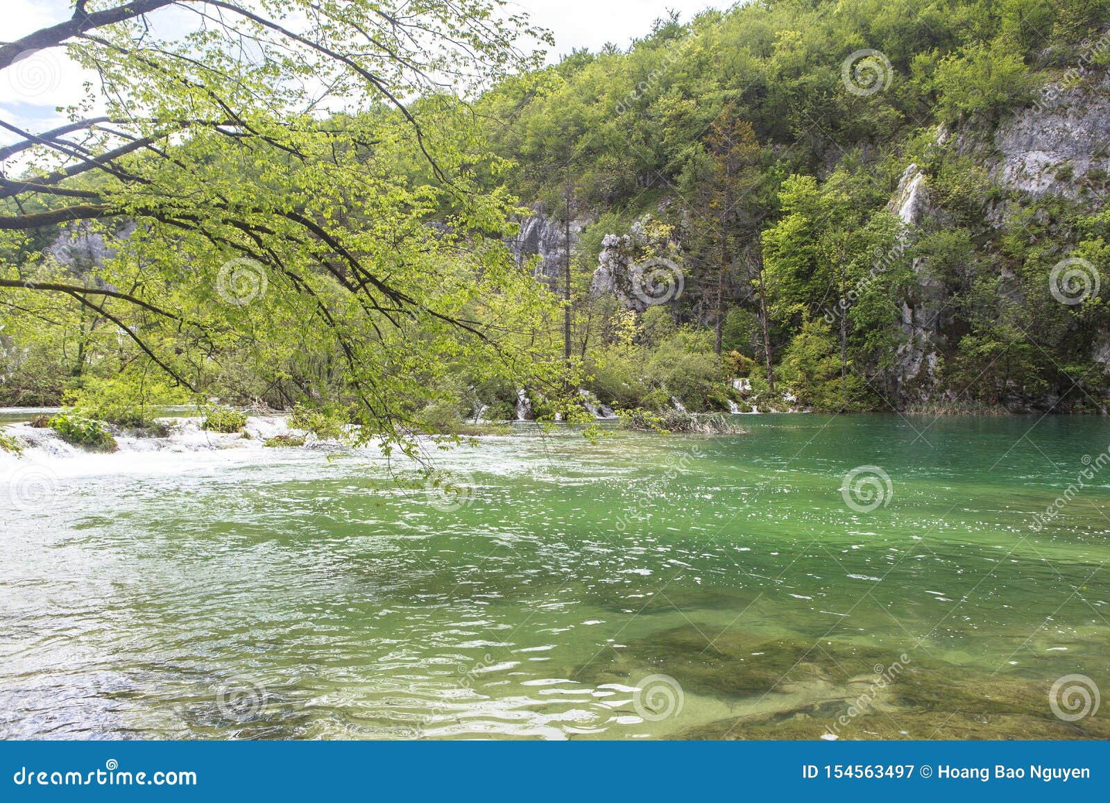 nature of plitvice lakes national park in summer