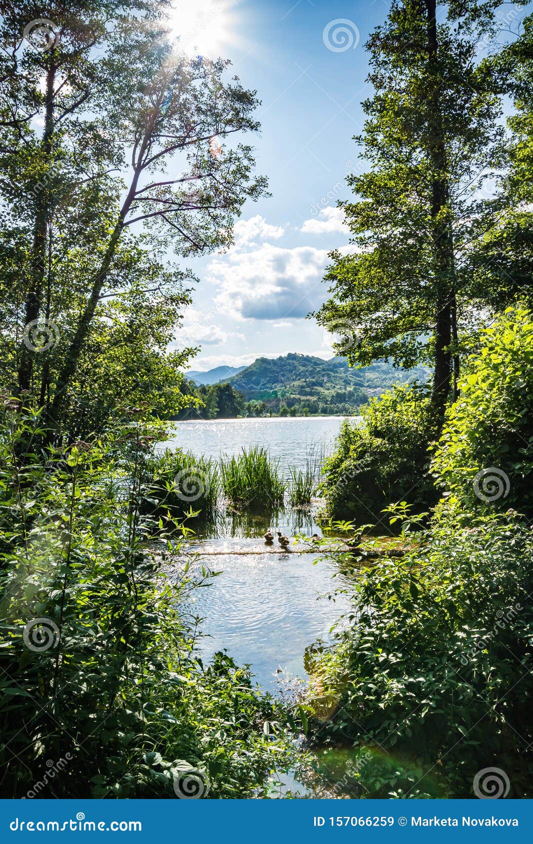 Plivsko Lake湖是波斯尼亚和黑塞哥维那的部分人工天然湖泊 位于jajce市库存图片 图片包括有lake湖是波斯尼亚和黑塞哥维那的部分人工天然湖泊 位于jajce市 Plivsko Plivsko Lake湖是波斯尼亚和黑塞哥维那的部分人工天然湖泊 位于jajce市库存图片 图片包括有lake湖是波斯尼亚和黑塞哥维那的部分人工天然湖泊 位于jajce市 Plivsko