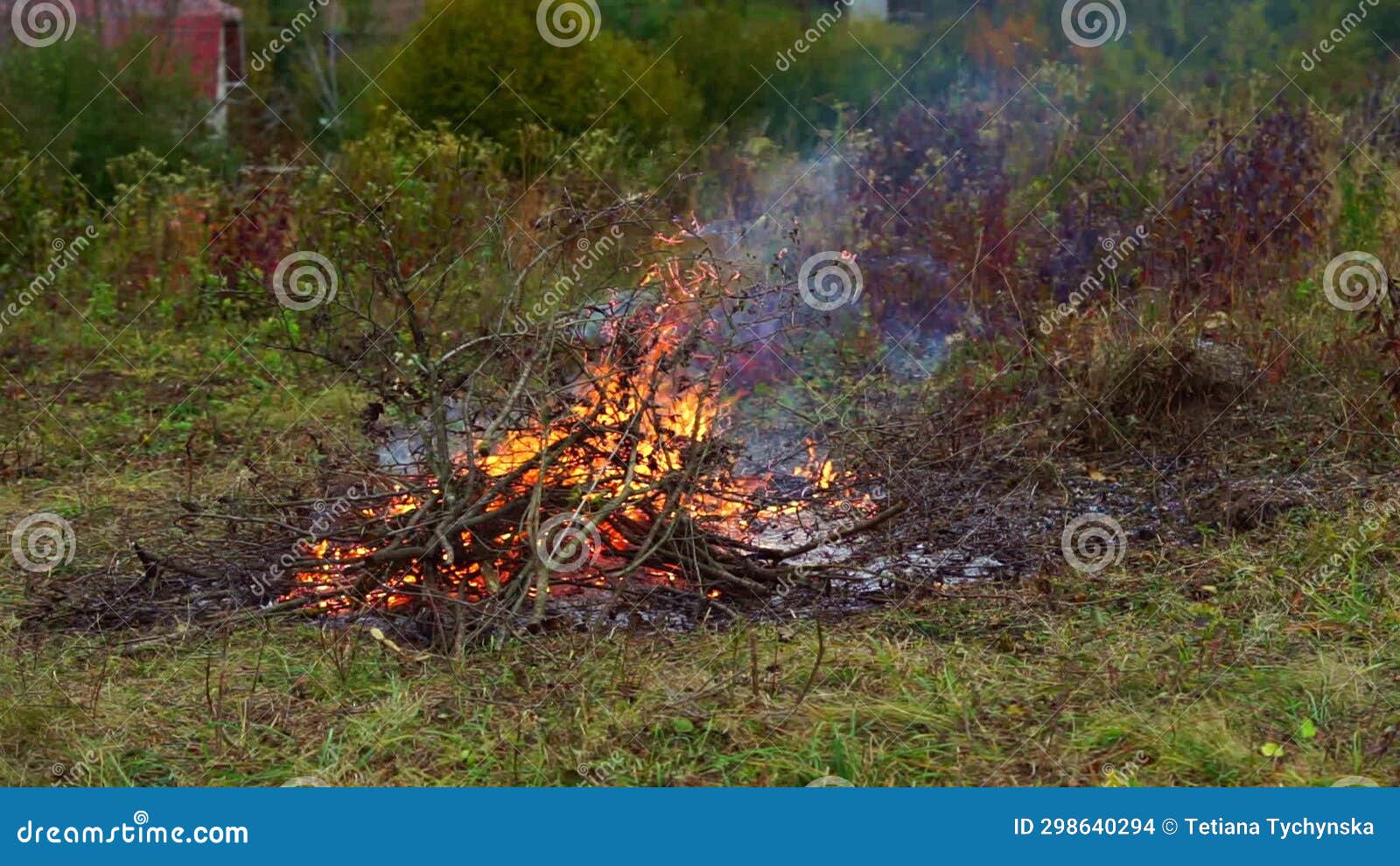 Plot Cleaning and Burning Out Dry Branches in a Bonfire. Slow Motion