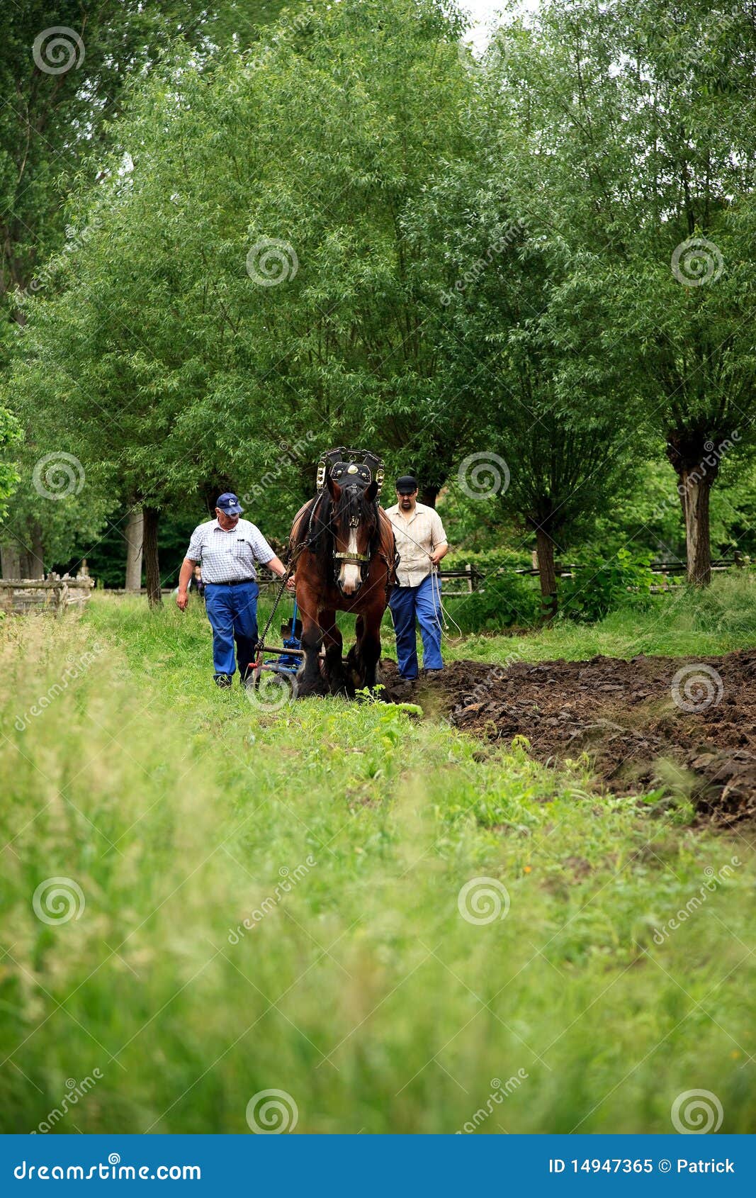 Plough the land farmer editorial image. Image of heritage 14947365