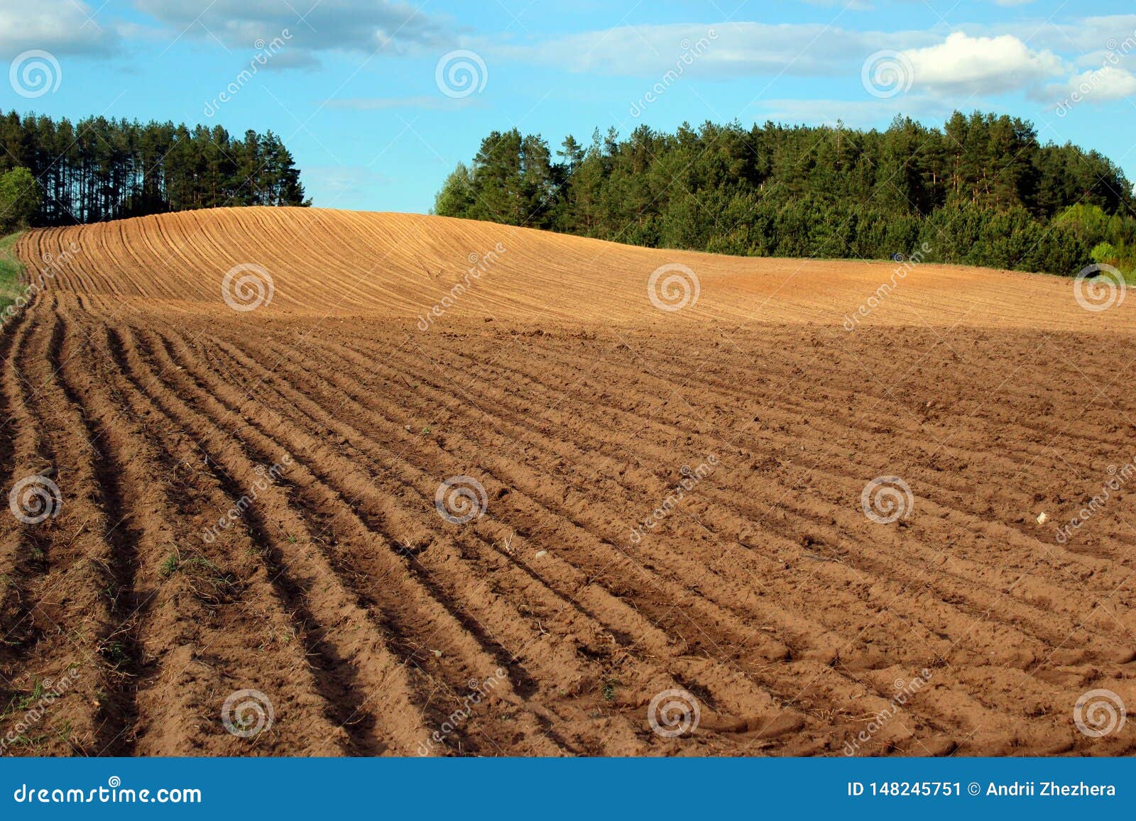 435 Tilled Field Texture Stock Photos Free & RoyaltyFree Stock