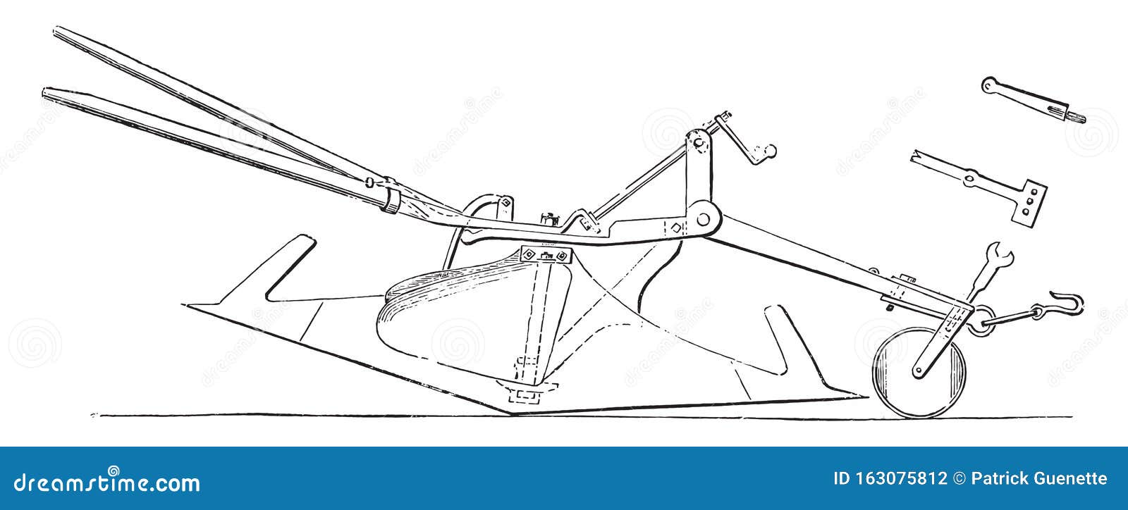 Plow Back To Back is Turning Age, Front View; Anterior End of the Age