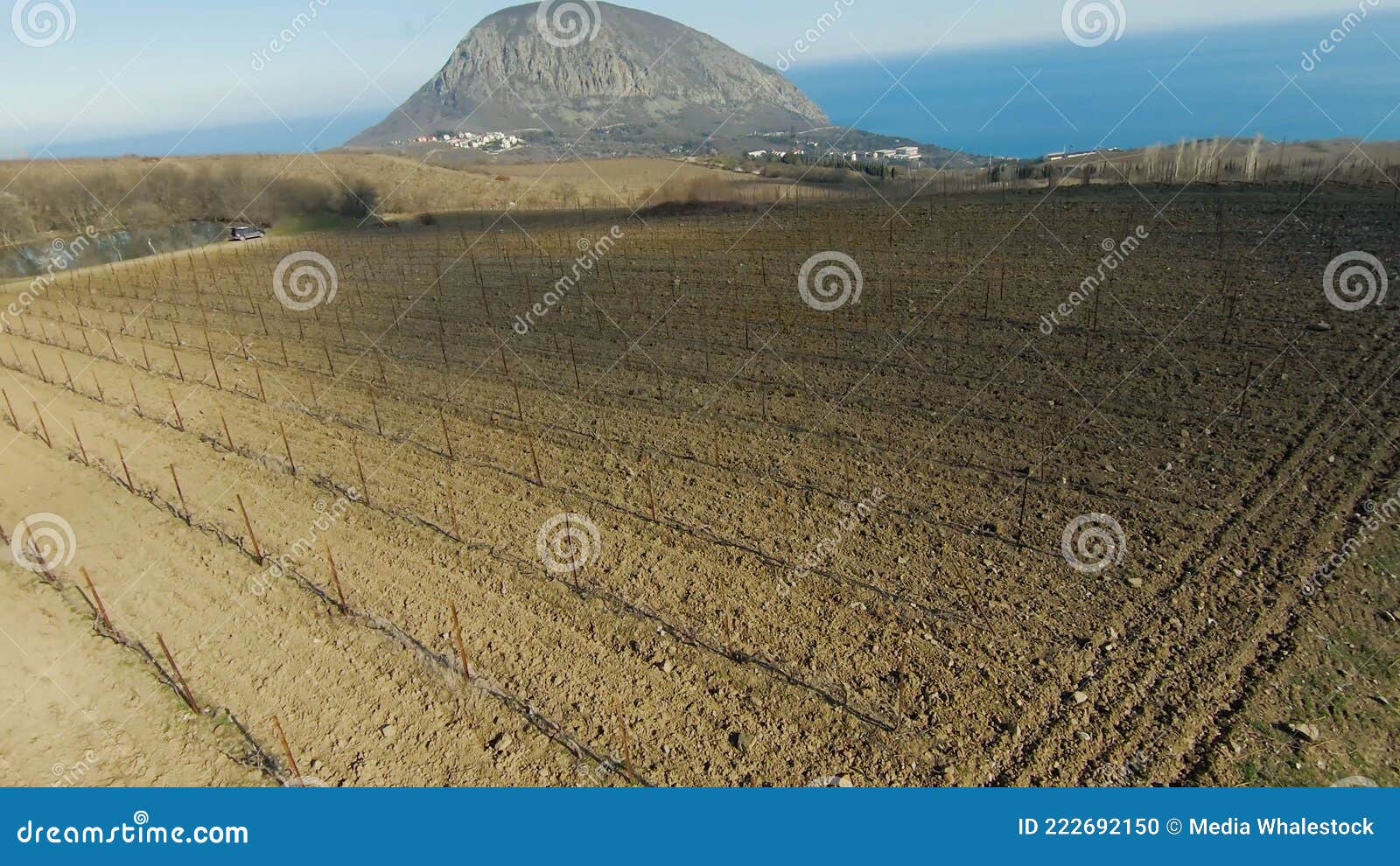 plowed fields on background of sea. shot. top view of farm fields with new seedlings in spring season. farm fields on