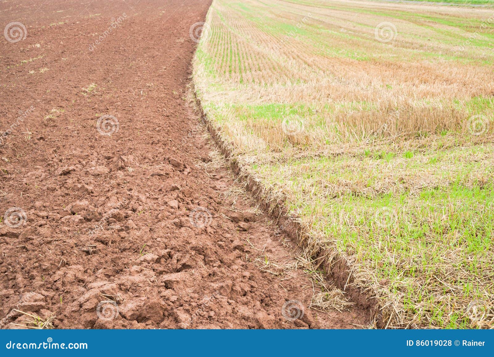 Plowed and harrowed field stock photo. Image of preparation 86019028