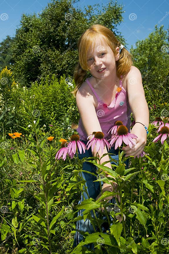Plucking flowers stock image. Image of hair, sunny, flowers 5908789