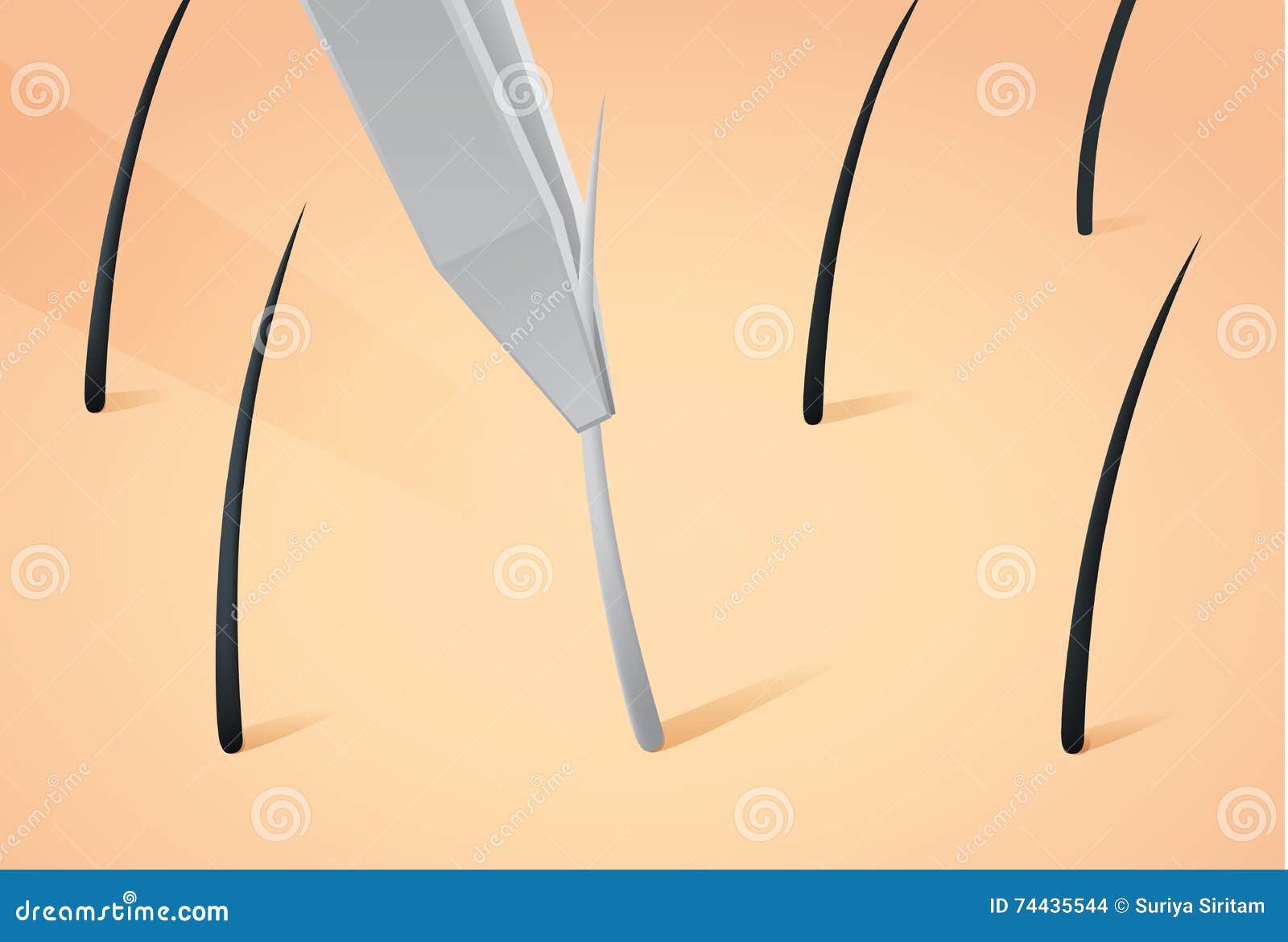 Plucking Gray Hair from Head with Tweezers. Stock Vector - Illustration of damage, pigment: 74435544 Plucking Gray Hair from Head with Tweezers. Stock Vector - Illustration of damage, pigment: 74435544