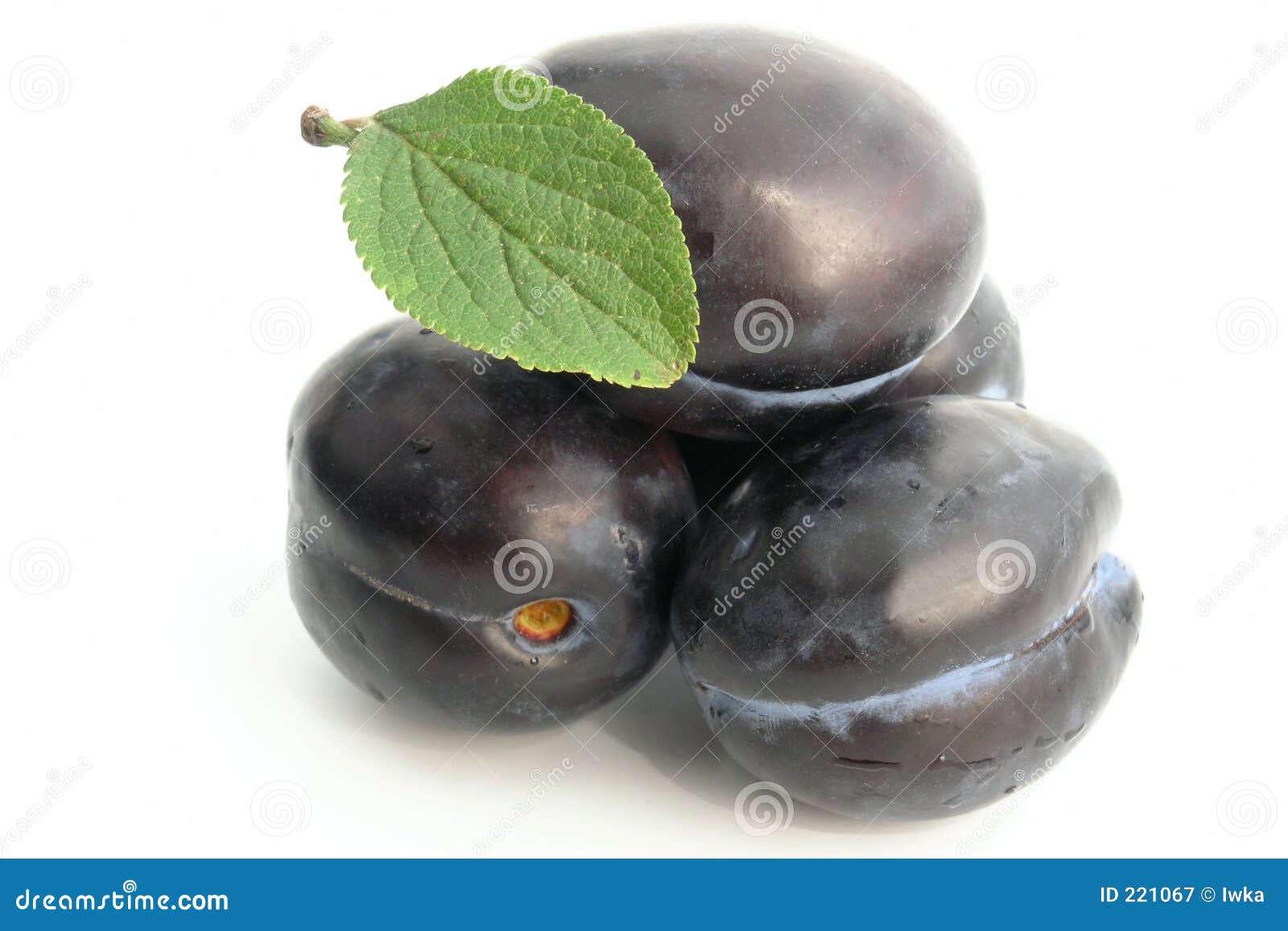 plum