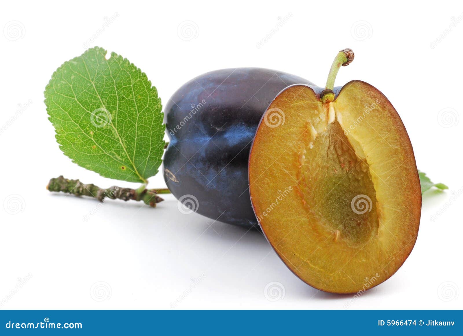 Plum stock photo. Image of diet, pair, fresh, plums, vitamin 5966474