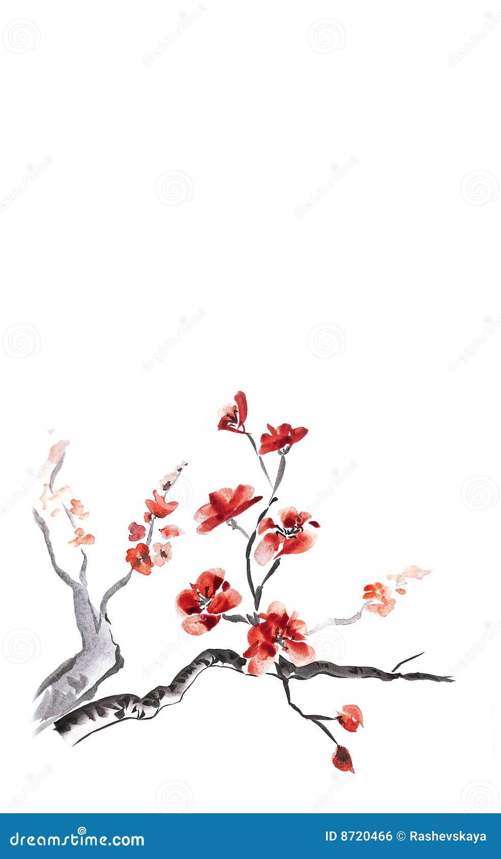 plum blossom