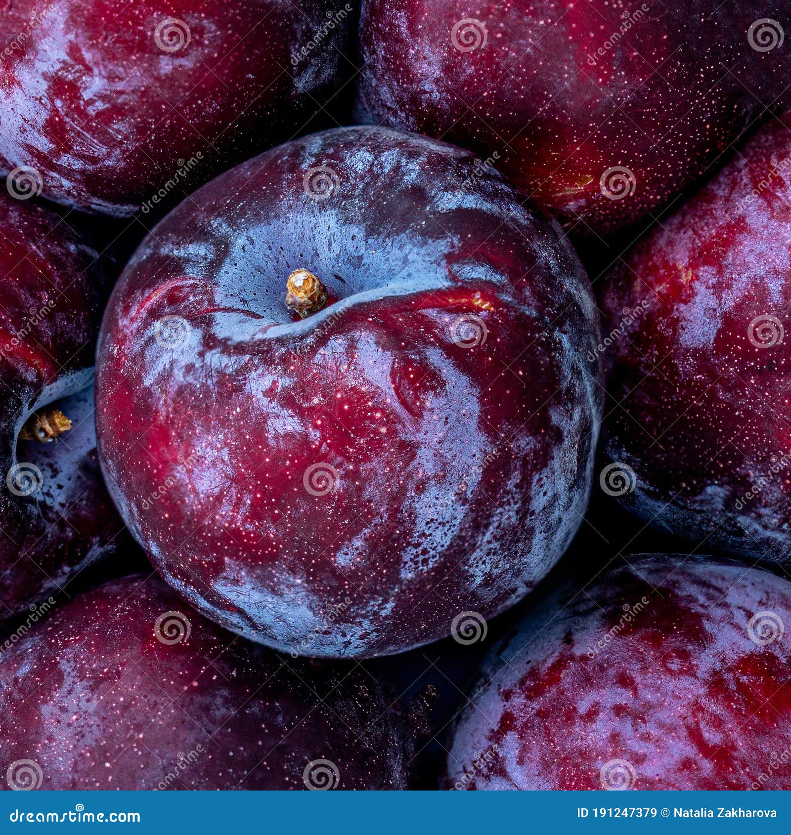 Plum Fruits Background. Fresh Blue Plums Pattern Closeup Stock Image