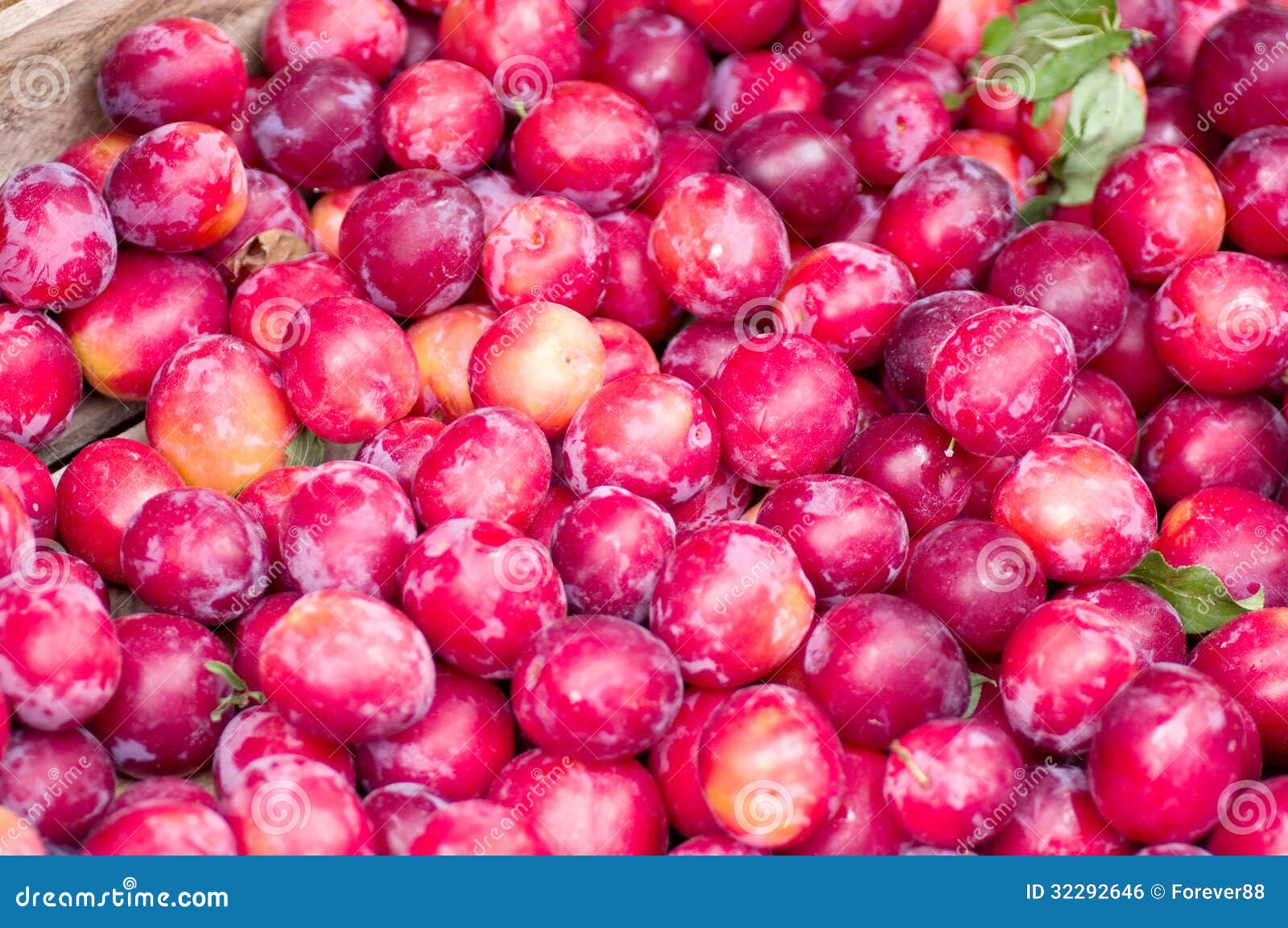 Plum harvest texture stock photo. Image of organic, harvest 32292646