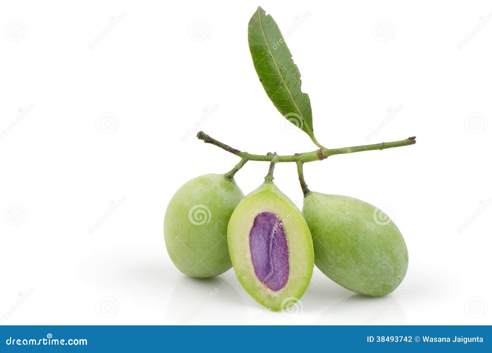 Plum Mango (Bouea Macrophylla Griffith). Stock Photo Image of